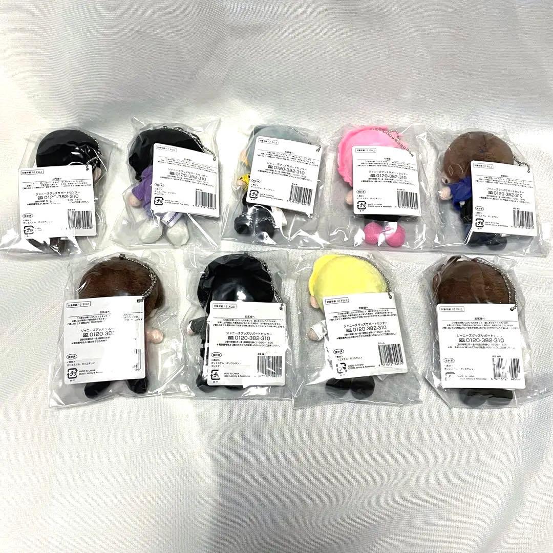 新品未開封】SnowMan すのチル ぬいぐるみ 9体セット - メルカリ