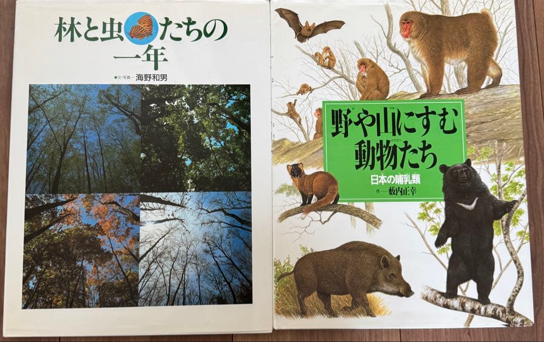 岩崎書店 絵本図鑑シリーズ 全31巻 - メルカリ