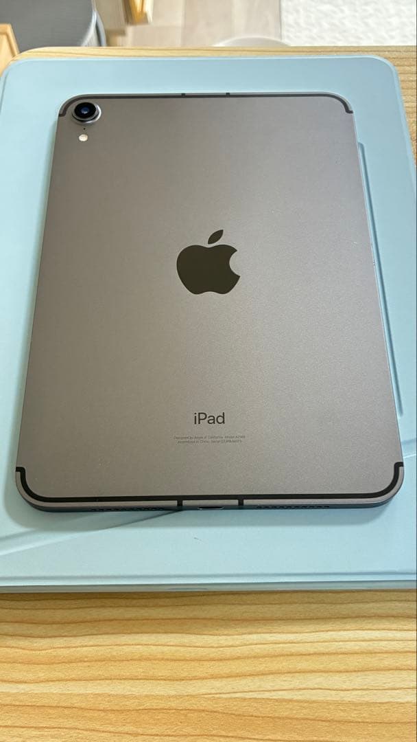 iPad mini6 256GB WiFi+Cellular スペースグレイ iPad iPad mini 6