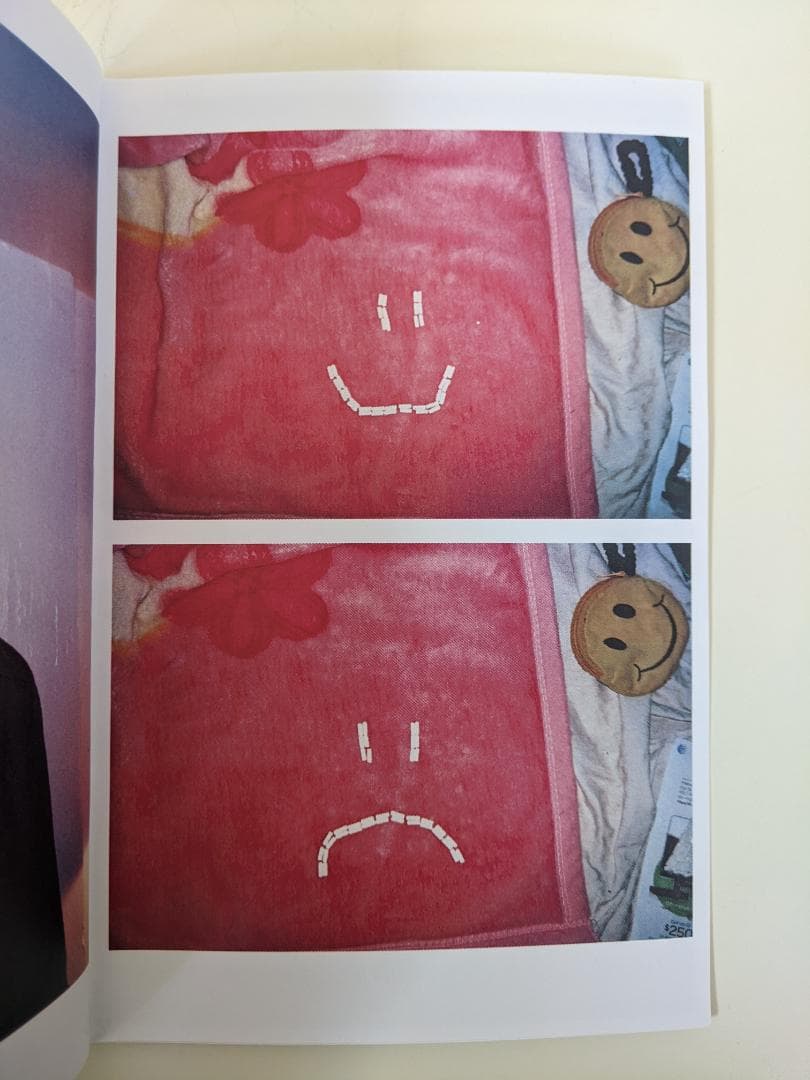 Sandy Kim - SEX DRUGS & Kodak GOLD サイン入り