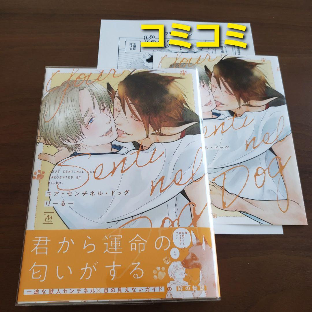 【専用出品　猫又様】宅急便　計19冊