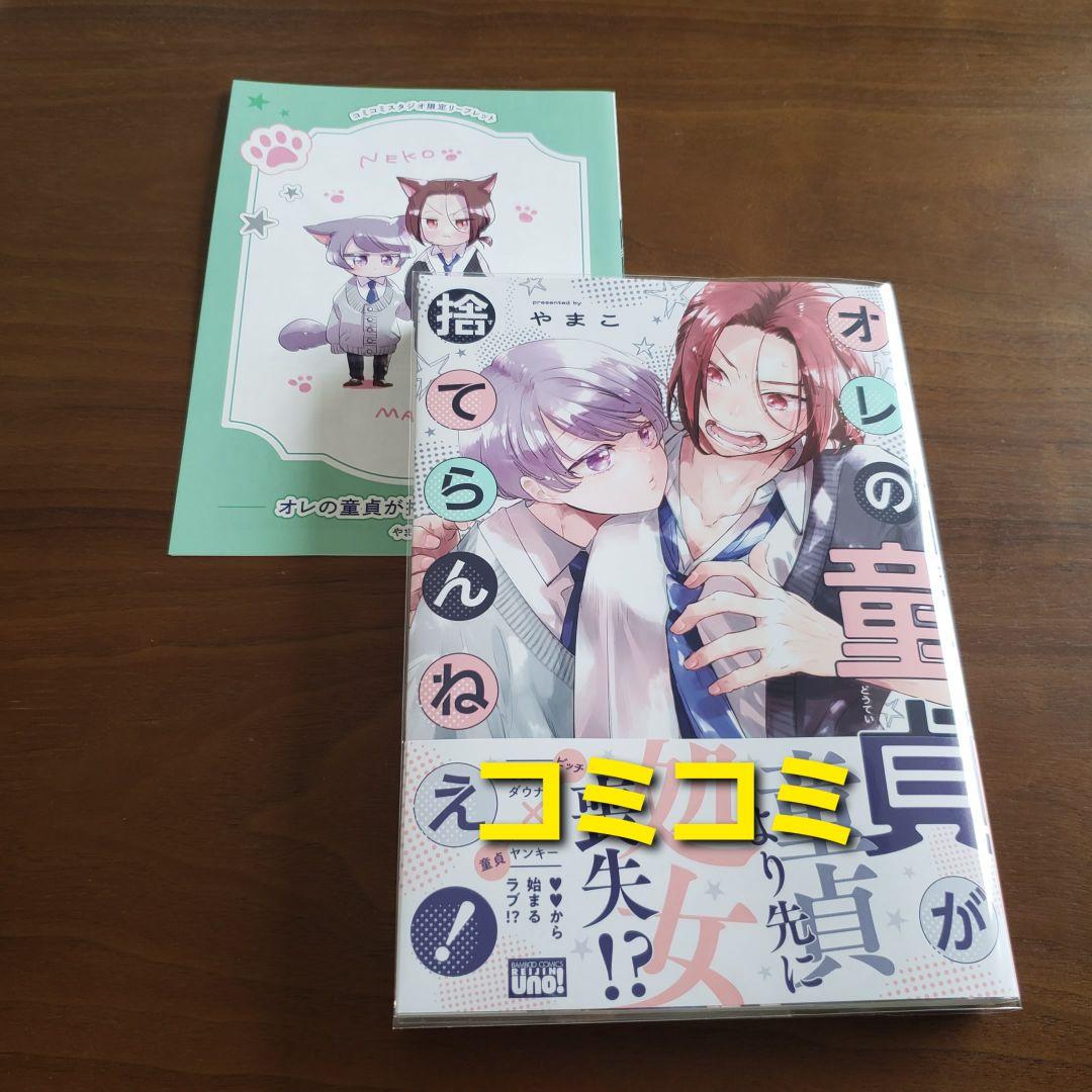 【専用出品　猫又様】宅急便　計19冊