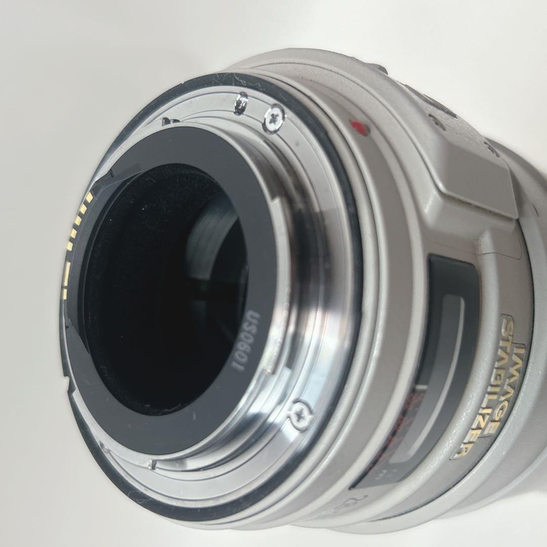 レンズ(ズーム) CANON EF 28-300 F3.5-5.6 L IS USM