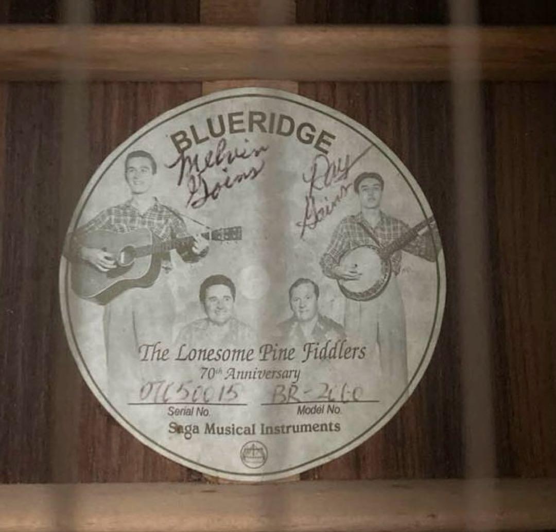 超レア、ヴィンテージギター ブルーリッジの限定モデル「BR-2060」価値