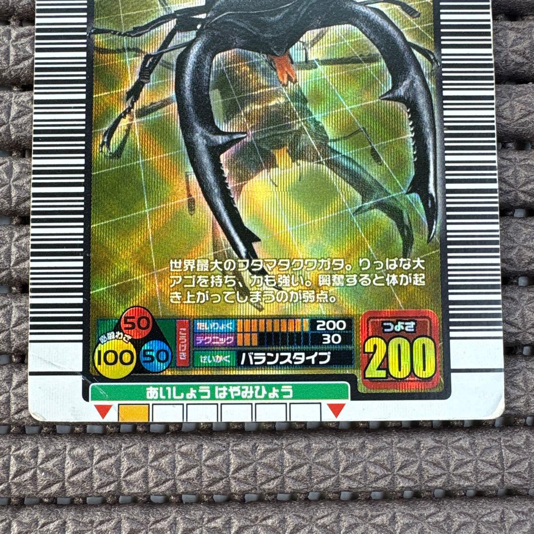 マンディブラリスフタマタクワガタ 2004ファースト拡張 金 ムシキング