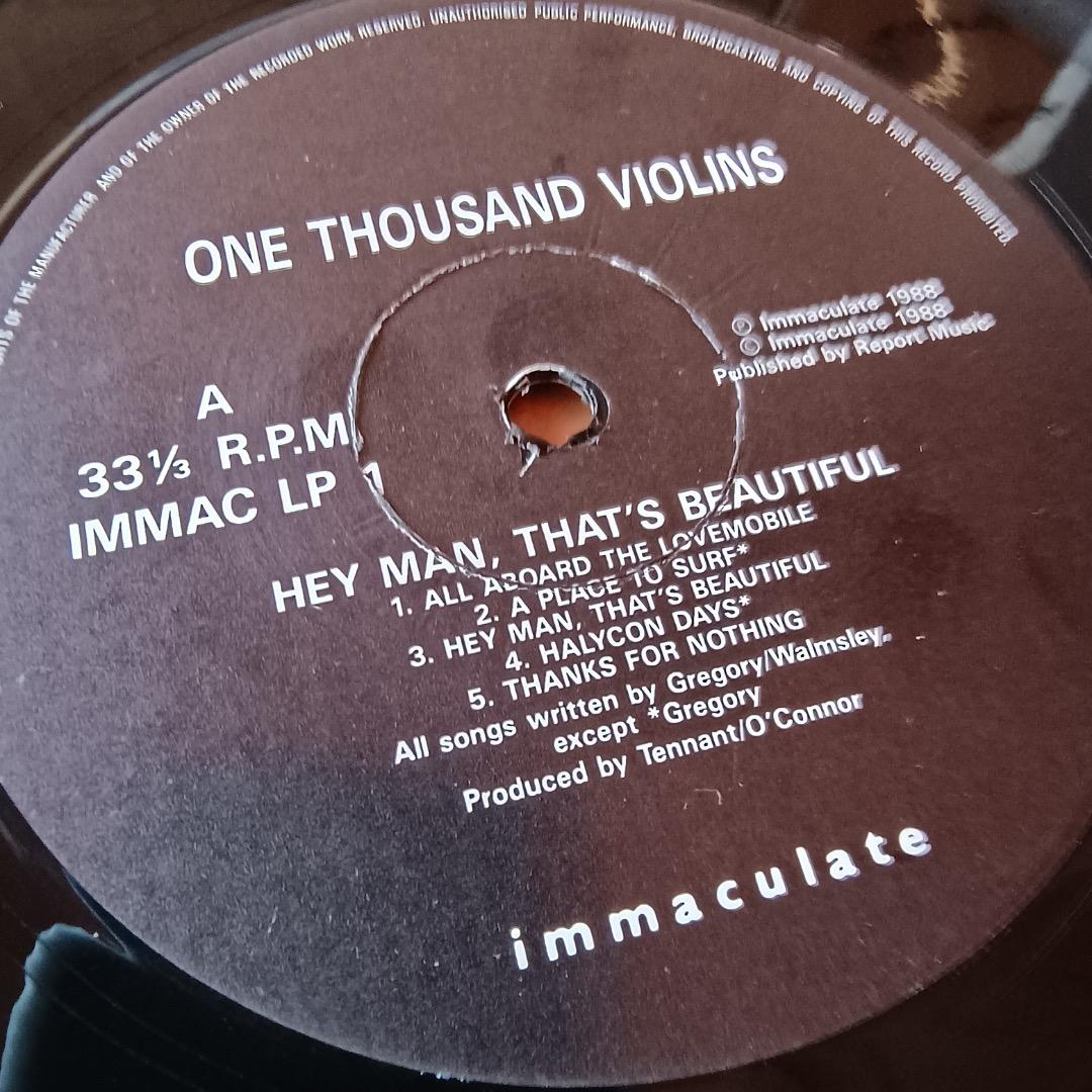 洋楽 Hey Man That's -LP /One Thousand Violins