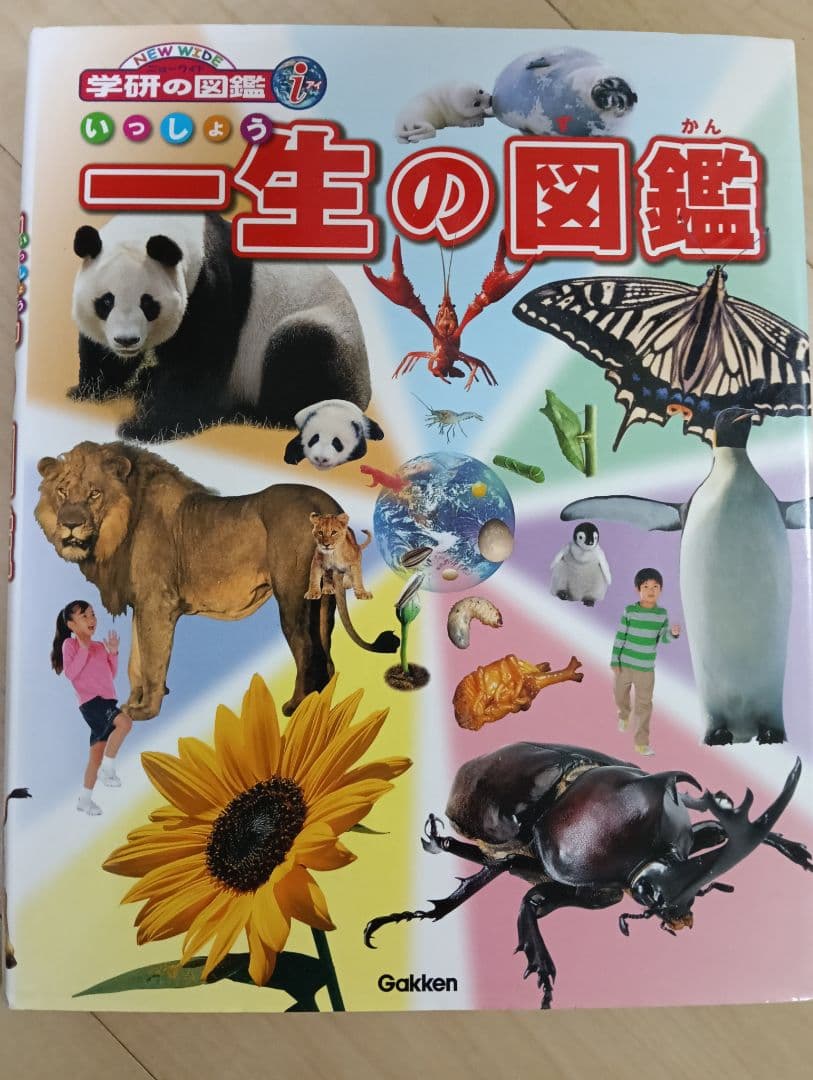 小学館の図鑑 NEO 新版 昆虫 花 恐竜 動物 鳥 魚 新版 学研 LIVE