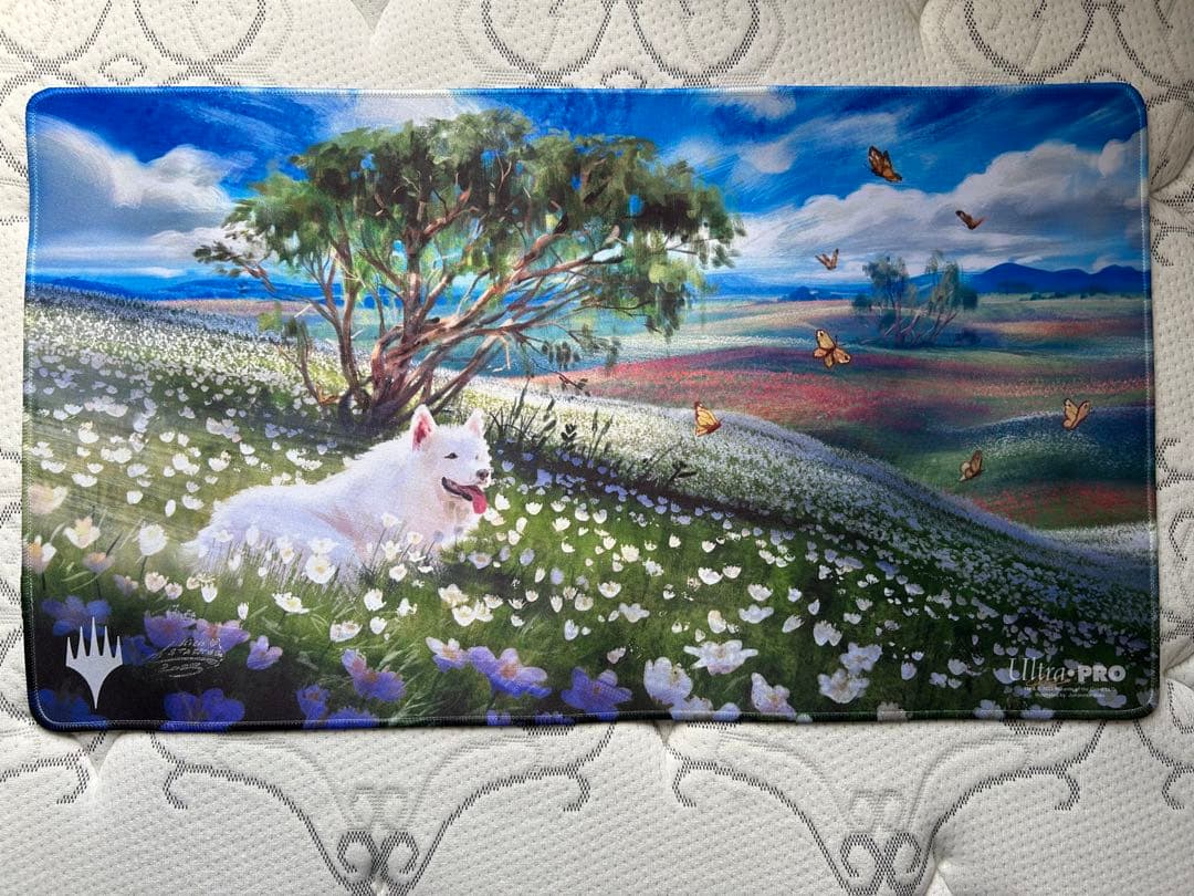 【MTG】Plains: Johannes Voss Plains · Dominaria United (DMU) #264 · Scryfall Magic: The