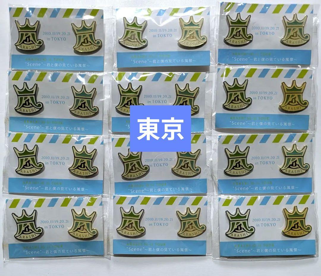 12点セット】嵐 君と僕の見ている風景 東京 ピンバッジ【未開封