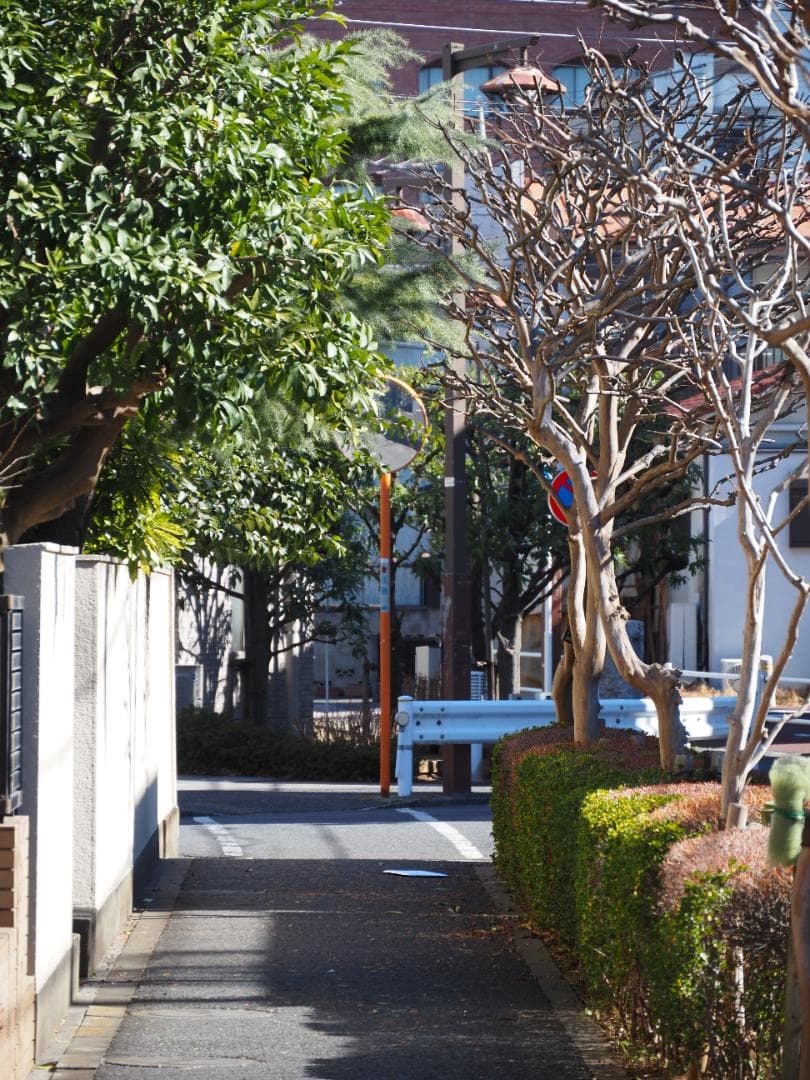 レンズ(ズーム) LUMIX G VARIO 14-140mm F3.5-5.6 II