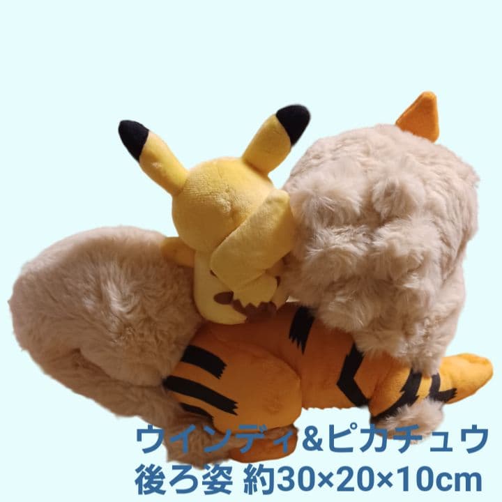 ポケモンセンターオキナワ限定 ウインディとピカチュウぬいぐるみ 入手