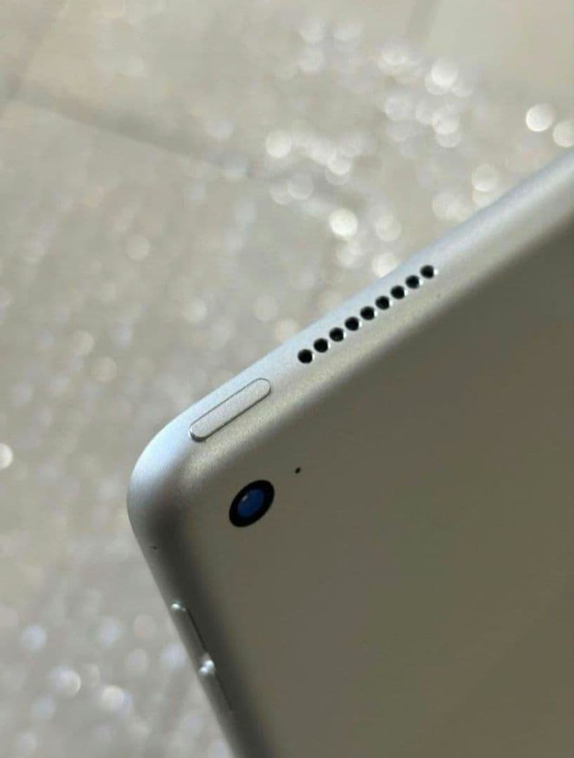 【Luffy】【美品】iPad Pro 第1世代 12.9inch