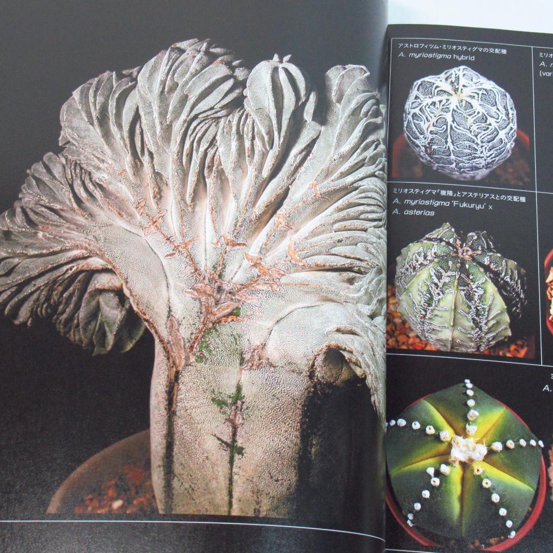 ひろ様専用 サボテン全書 All about CACTUS 【貴重本 初版】 - メルカリ