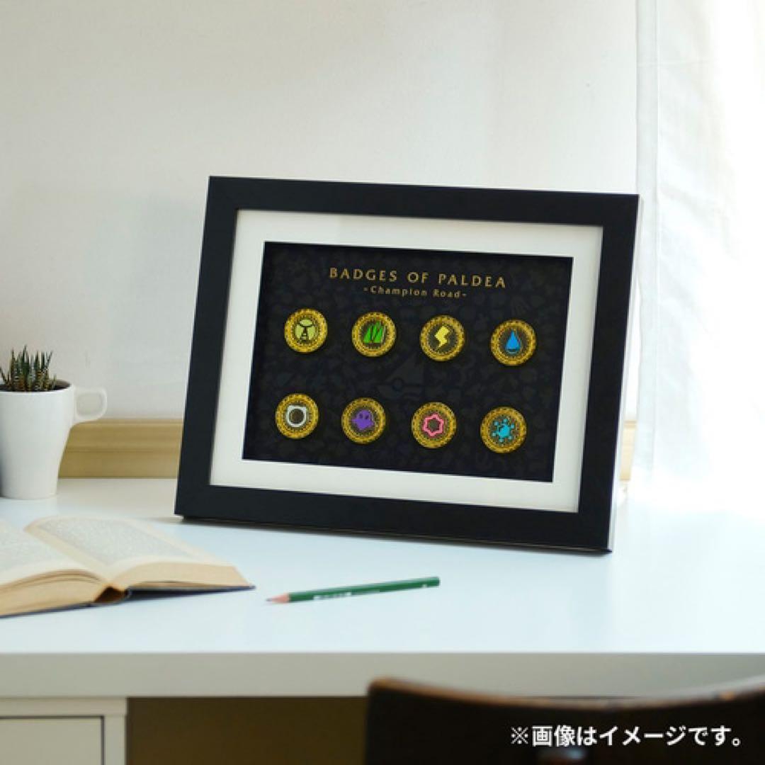 受注生産】ポケモン バッジコレクション チャンピオンロードセット