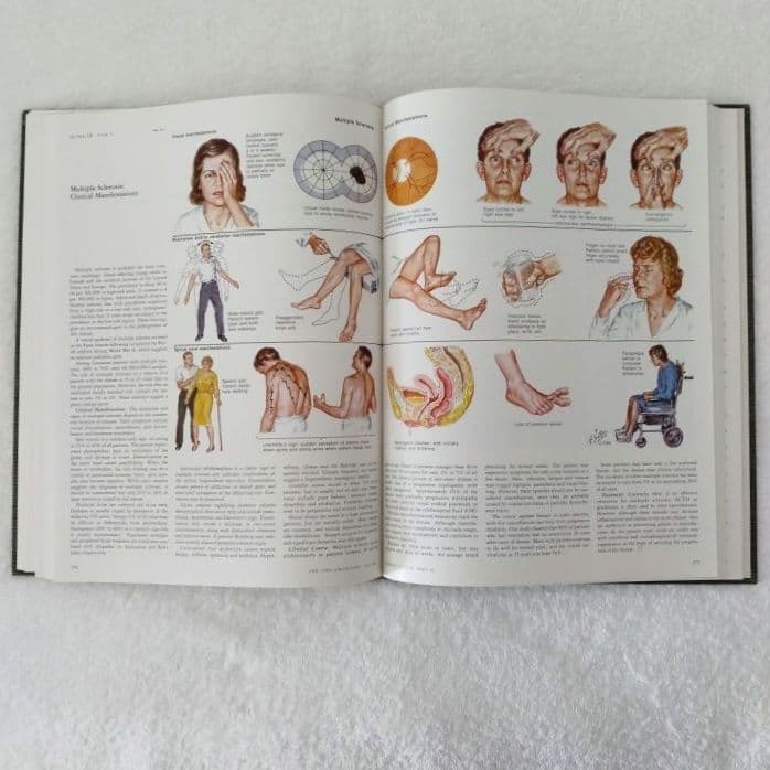 洋書 ・希少 CIBA医学イラスト集第1巻 Ⅱ フランクH.ネッター／英語版