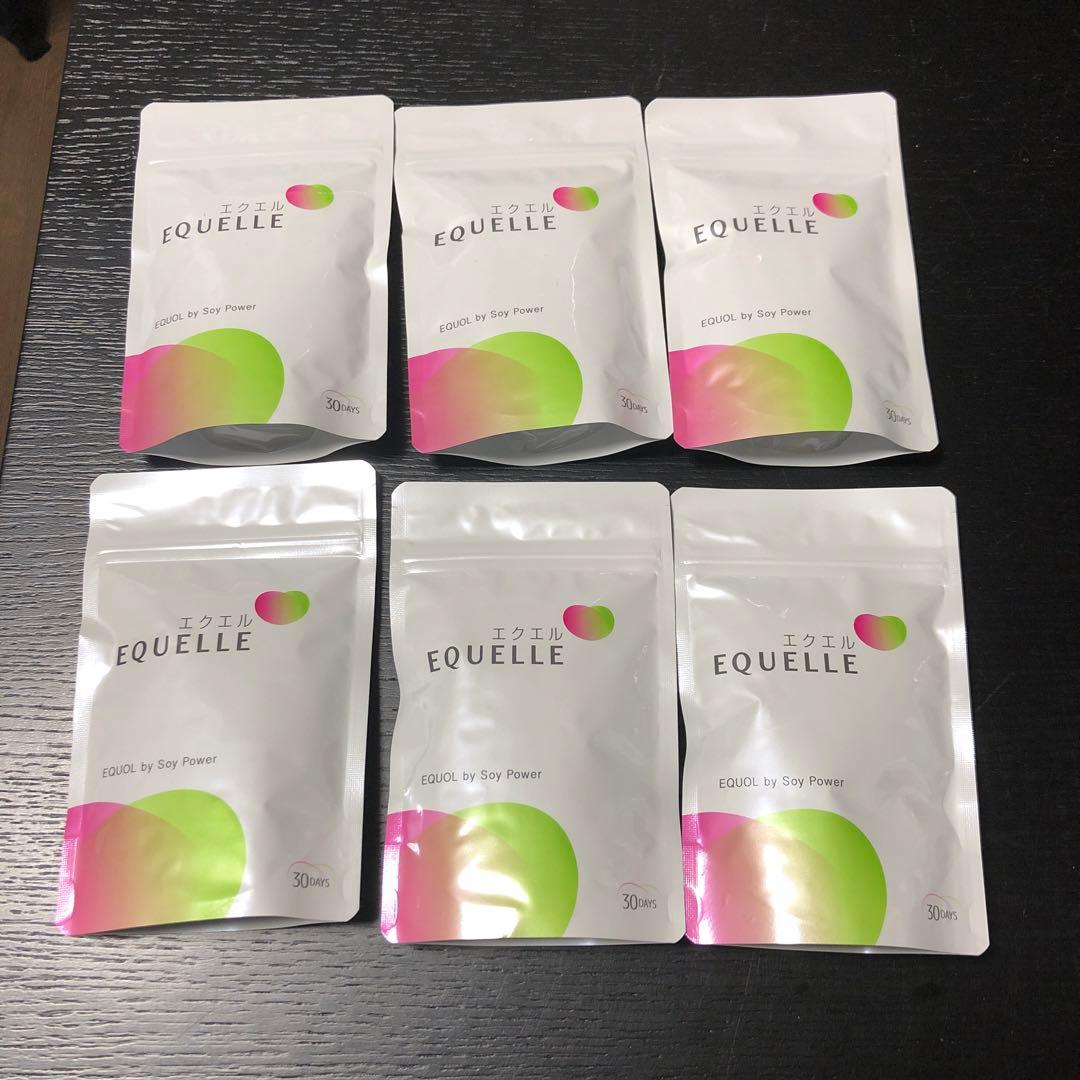 正規品】6袋セット 大塚製薬 エクエル パウチ 120粒入