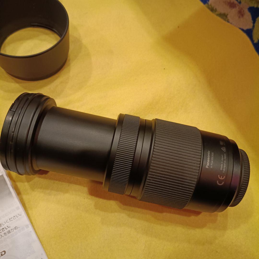 レンズ(ズーム) LUMIX G VALIO 100-300mm F4.0-5.6 II