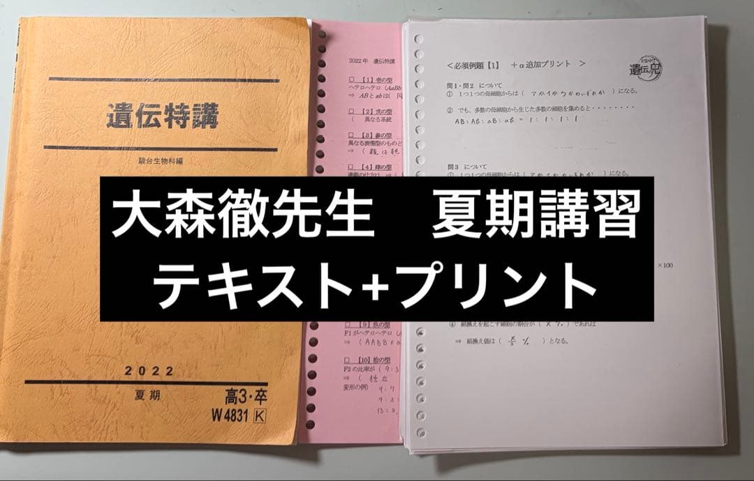 大森徹　駿台夏期講習　遺伝特講　テキスト+プリント　2022 駿台 遺伝特講 テキスト 2022 夏期 大森徹 ☆ 005s0C : ブックス