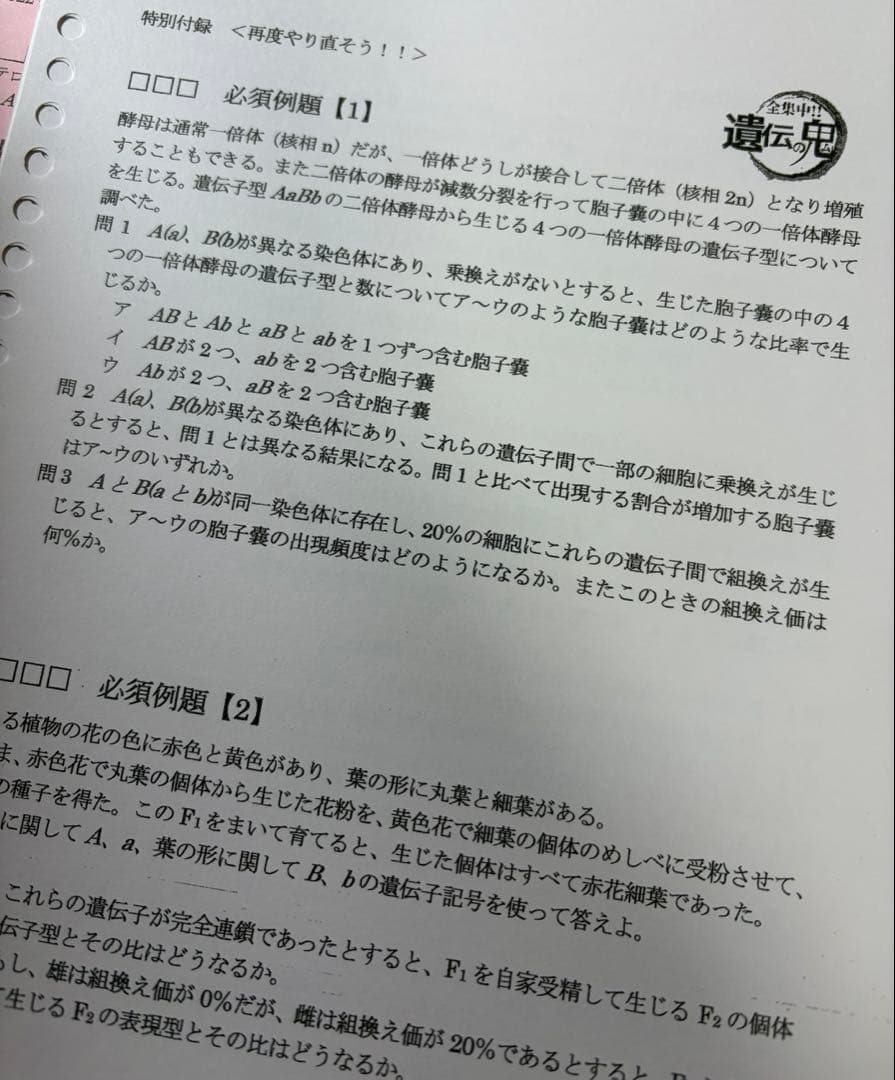 大森徹 駿台夏期講習 遺伝特講 テキスト+プリント 2022 - メルカリ