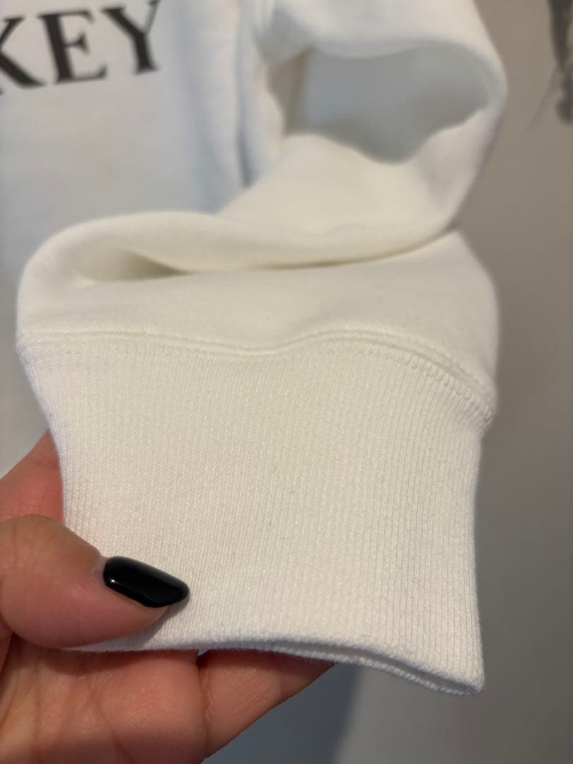 ジャーナルスタンダード レサージュ ミッキー スウェットプルオーバー