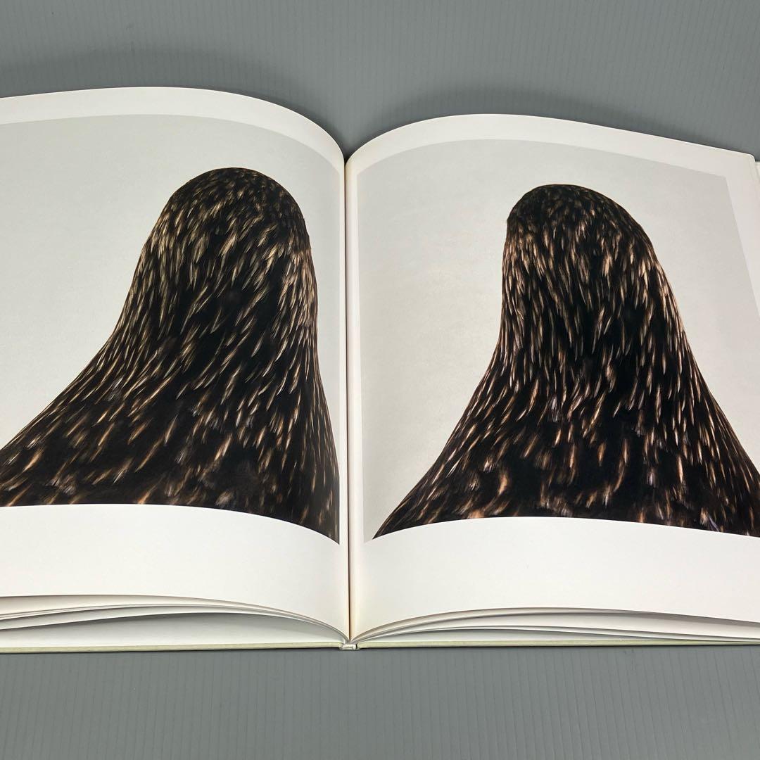 Roni Horn bird ロニ・ホーン 作品集 - メルカリ