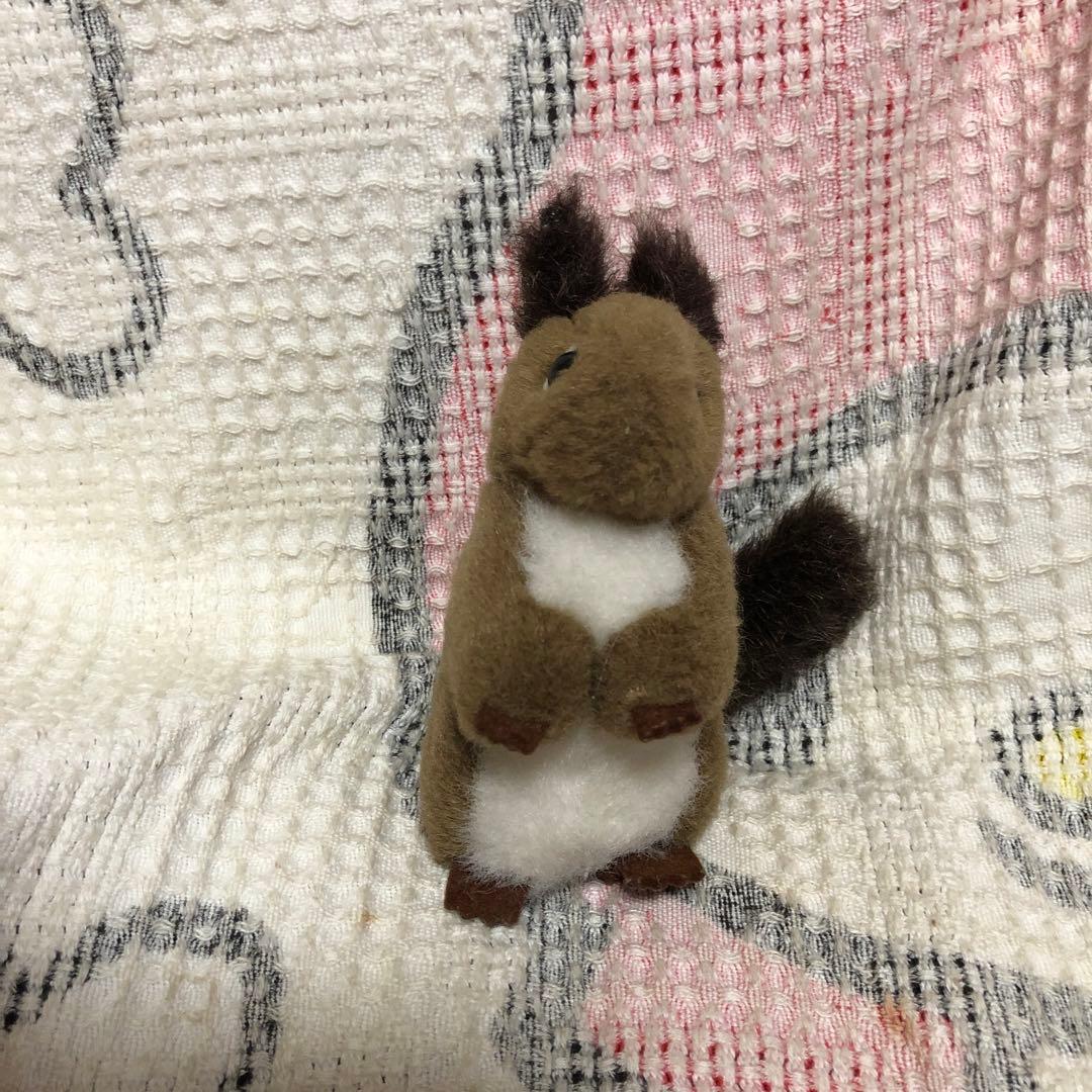 やまね工房 エゾリス ぬいぐるみ 中古品 落合けいこ - メルカリ