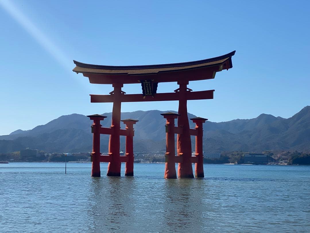 ゆっこ ゆっこ (@yukko91624) / Posts / X