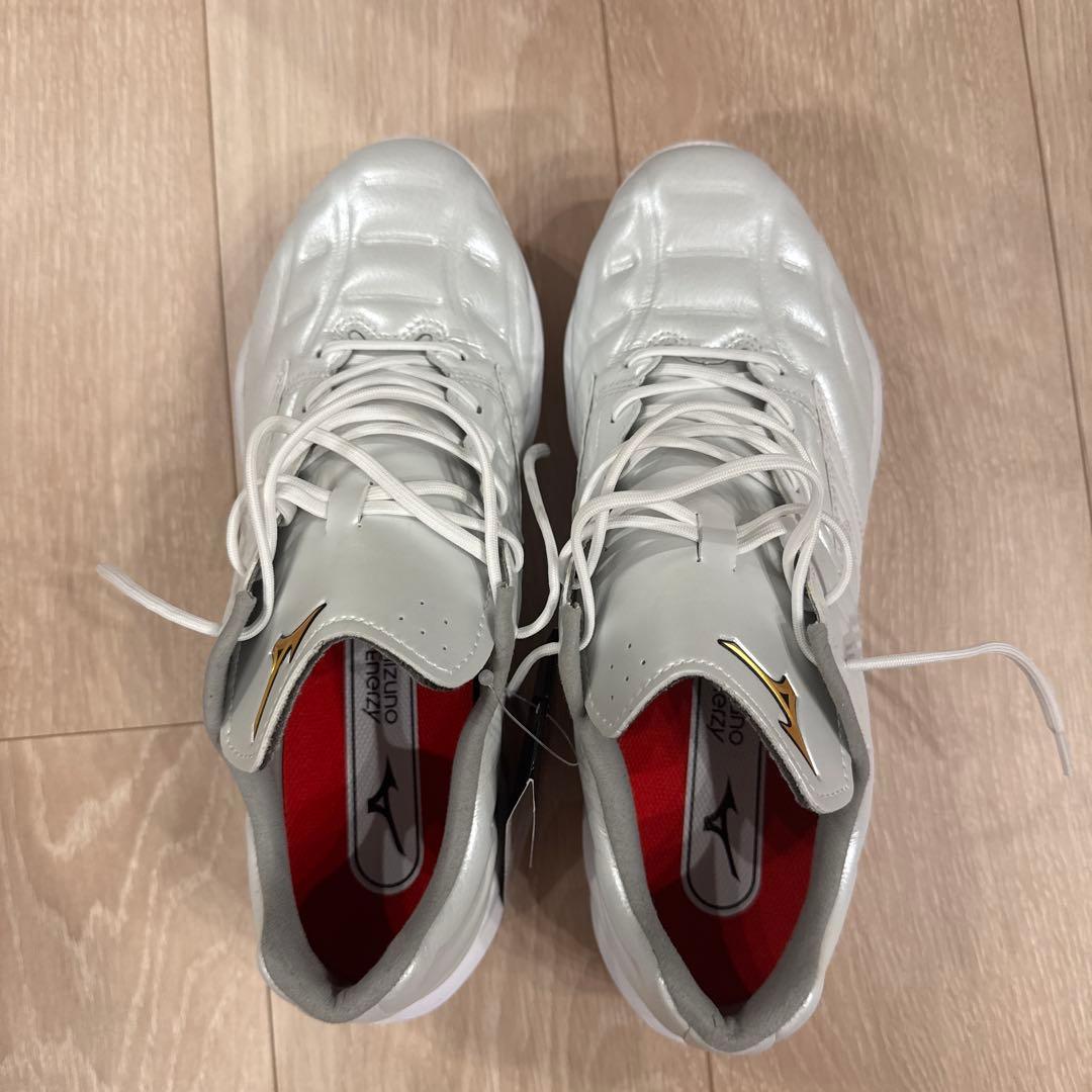 Mizuno クッションレボプロ　25.5cm 新品