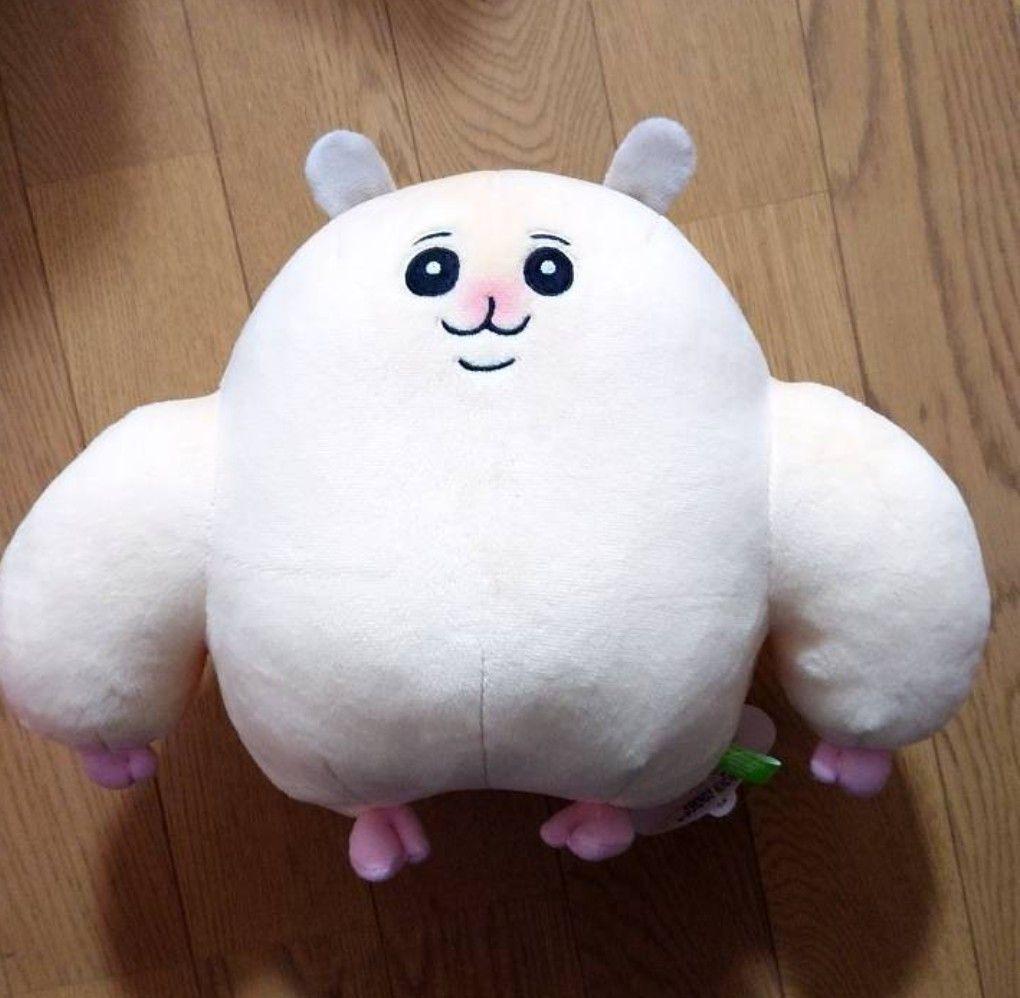 ムキムキのハムちゃん＆ほがらかいぬねこ BIGぬいぐるみ ムキムキの