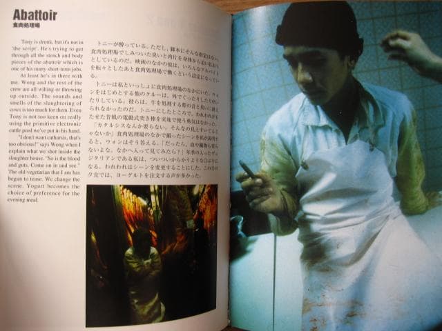 ブエノスアイレス飛行記 初版 帯付き ウォン・カーウァイ