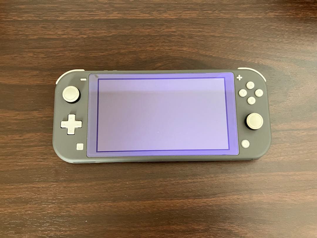 Nintendo Switch Lite グレー 箱、 ACアダプターあり