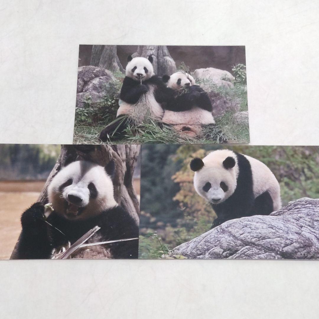 上野松坂屋 シャオシャオ レイレイ 毎日パンダ 双子の思い出ポスト