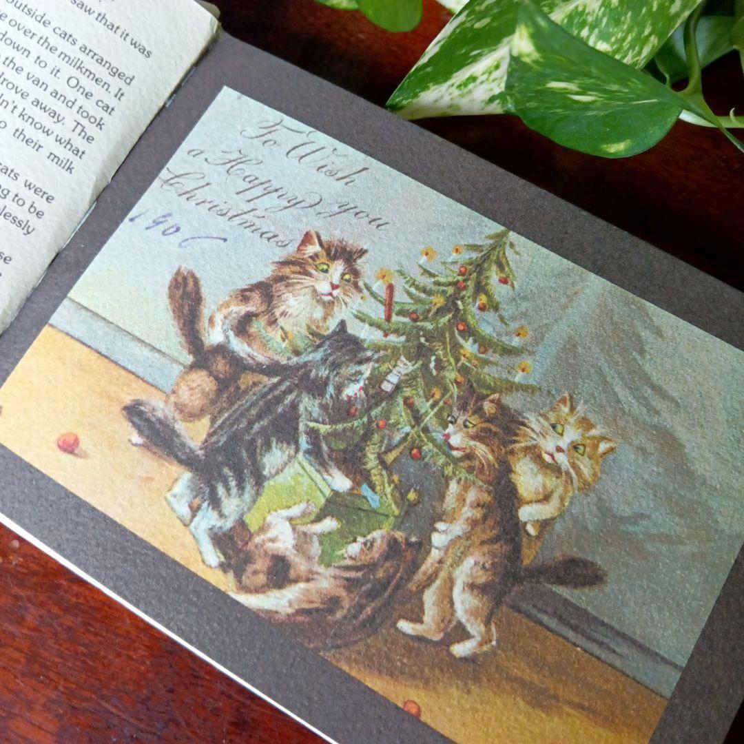 洋書古書 希少 猫の国 アート 画集 ポストカード イラスト ヴィンテージ