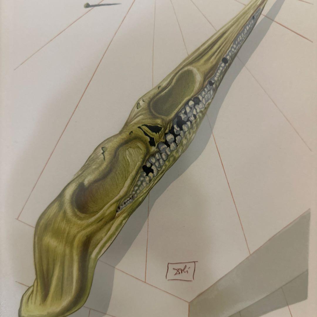 ダリの版画 額装付き