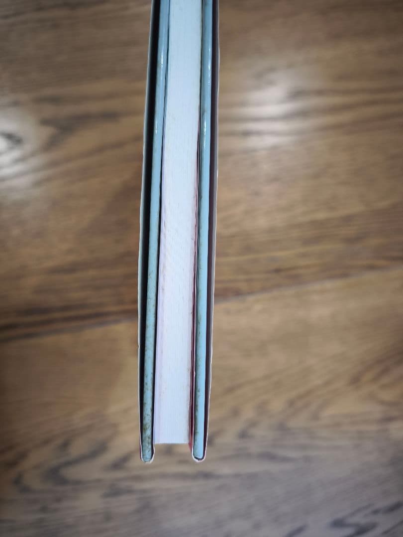 MONKEY PUNCH CUTIES 美女画集