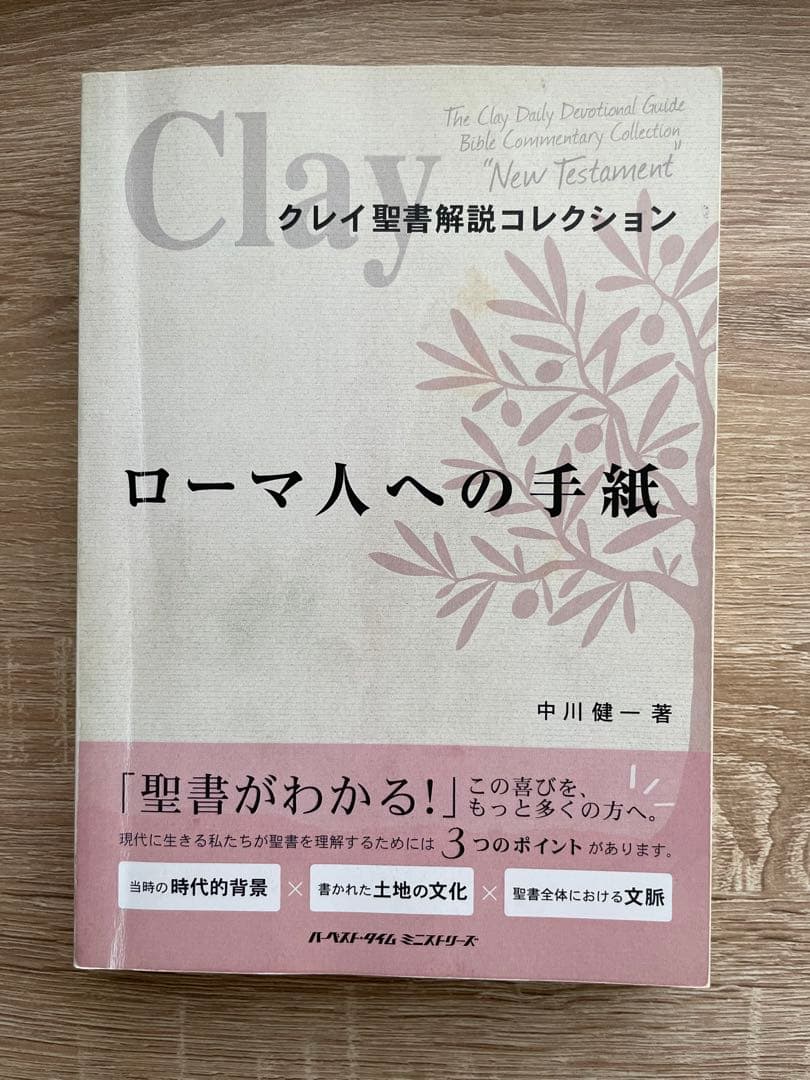 クレイ聖書解説コレクション 新約聖書11冊セット 中川健一著