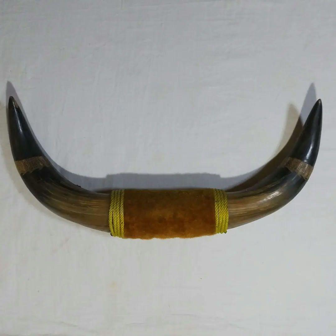 水牛の角 バッファローの角 壁掛け 置物 ヴィンテージ - メルカリ