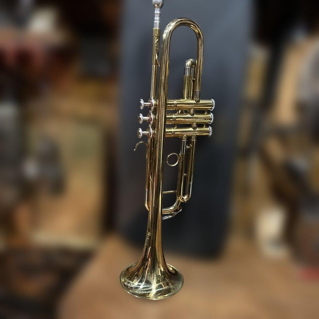 ヴィンテージ　トランペット　ハードケース付き ヴィヴァーチェ ： トランペット用ハードケース 全7色 - オンライン