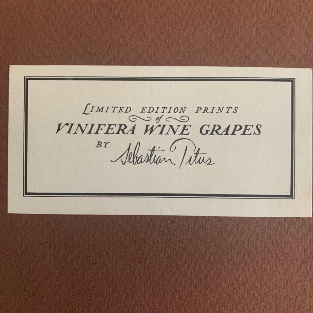セバスチャン タイタス Sebastian Titus 葡萄リトグラフ 希少品 - メルカリ