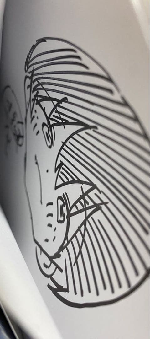 ボーイッシュ彼女が可愛すぎる2巻 直筆イラスト入りサイン本 牛乳麦