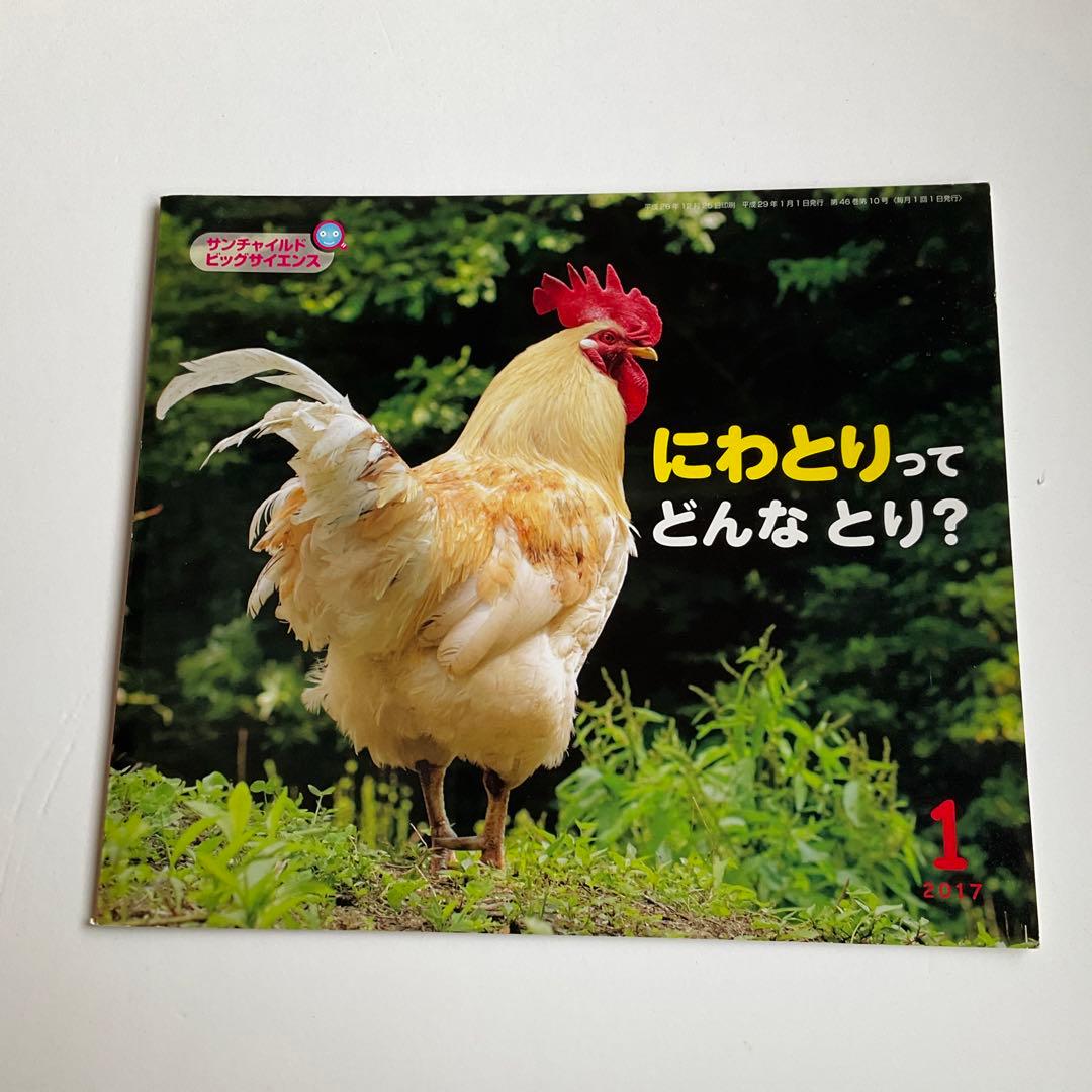 サンチャイルド・ビックサイエンス にわとりってどんなとり？ 図鑑絵本