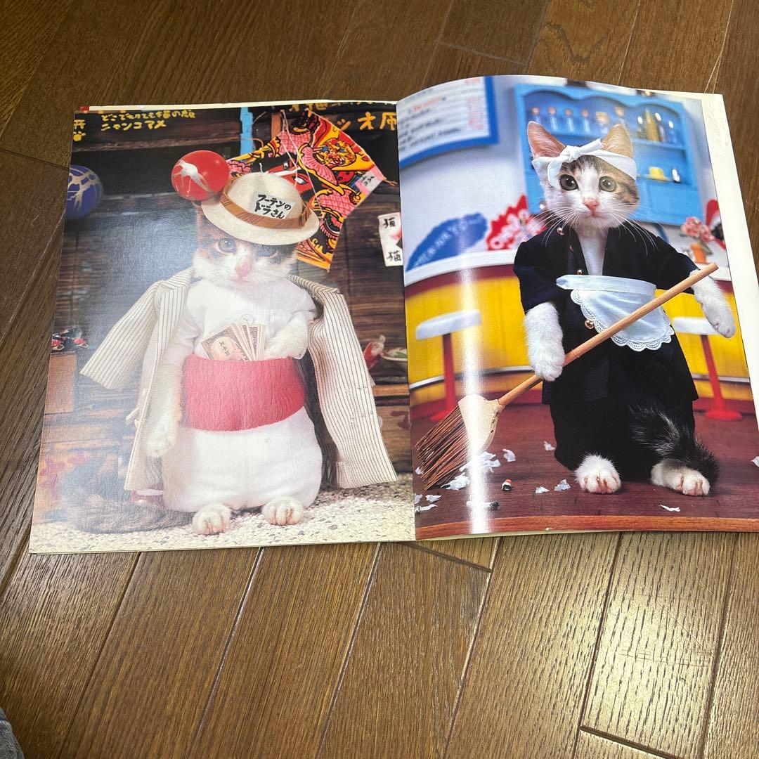 なめ猫 写真集「なめんなよ 大写真館」1982年 初版 新興楽譜出版