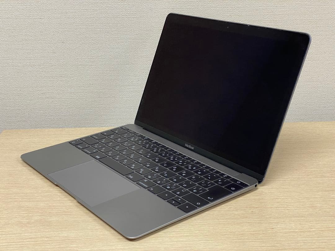 MacBook本体 MacBook Retina A1534 Early2016 m3/8/256