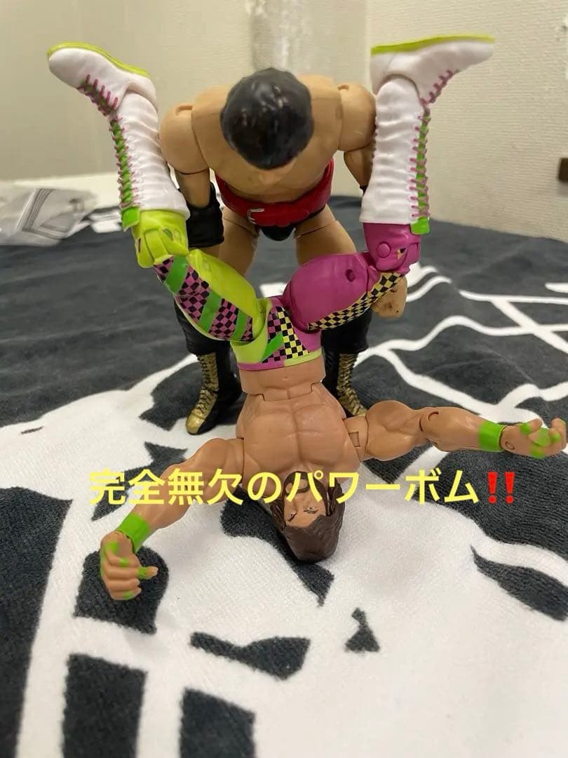 WWE マテル エリート 天龍源一郎 カスタムフィギュア