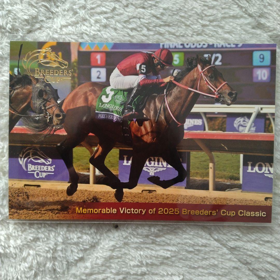 JRAフォーエバーヤング キャップ＆ポストカードセット 未使用 - メルカリ