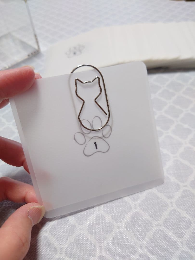 ⭐︎りんりん⭐︎ 100DaysSavingChallengeBox　肉球