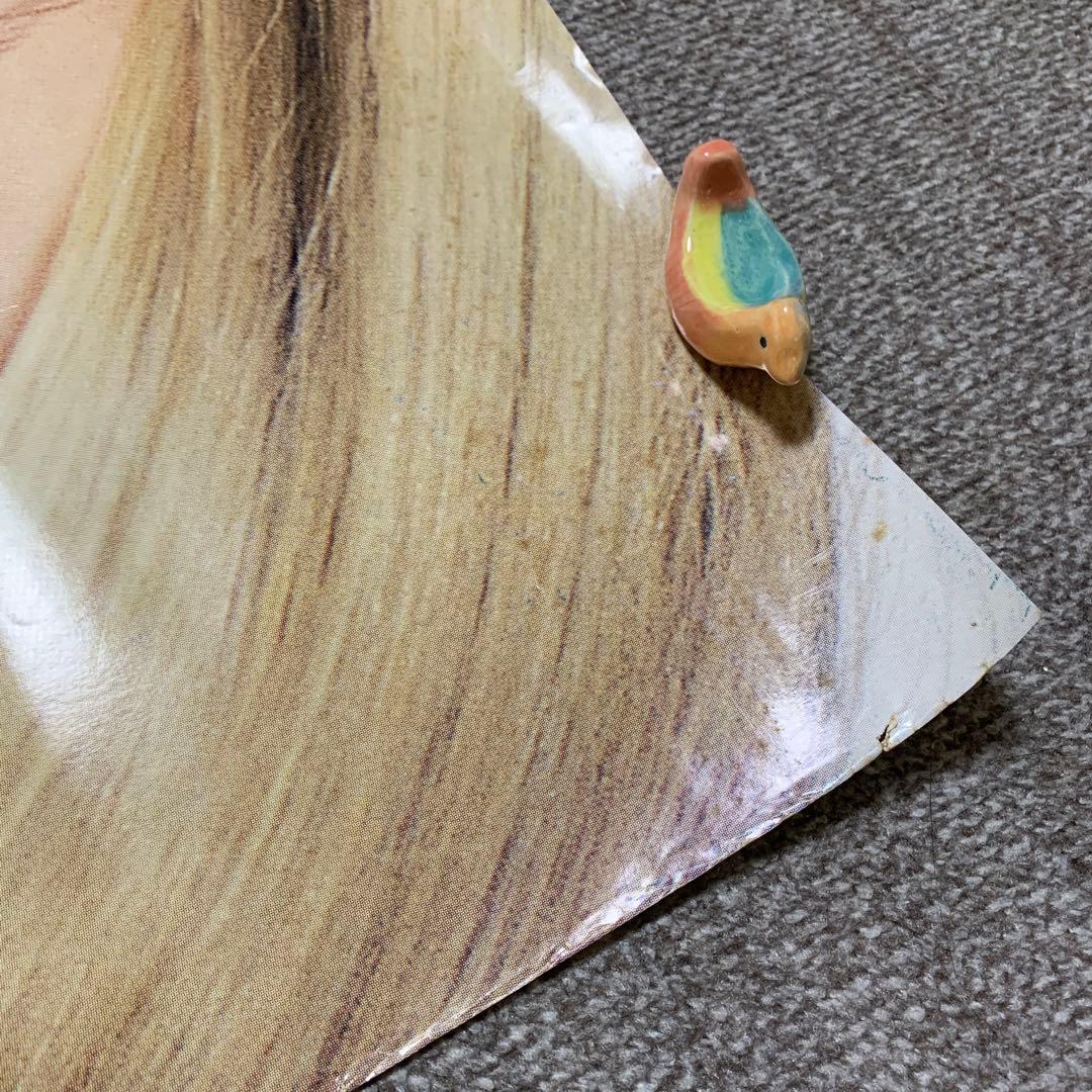 カルバンクライン ケイトモス エドワードファーロング 特大ポスター