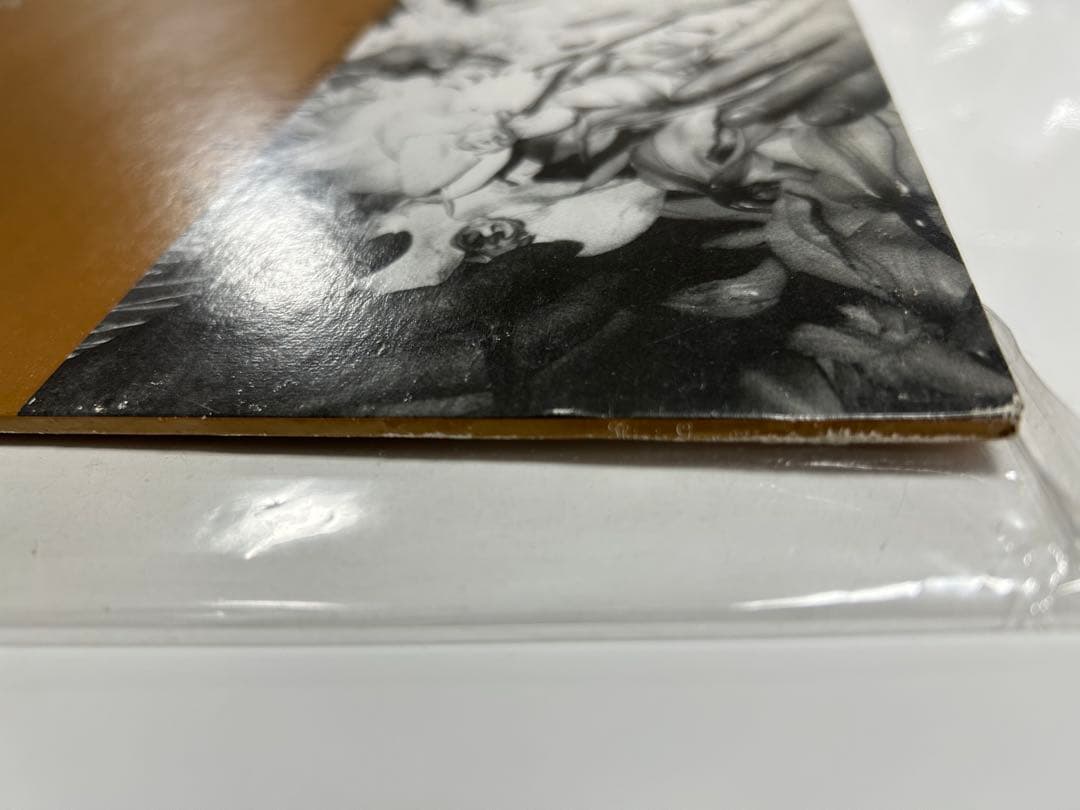 洋楽 The Van Pelt -Stealing From Our Favorite