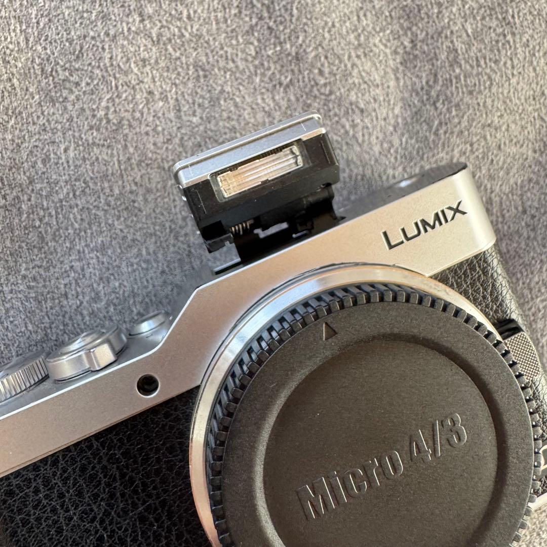 LUMIX DC-GF9 ダイヤル難あり - メルカリ