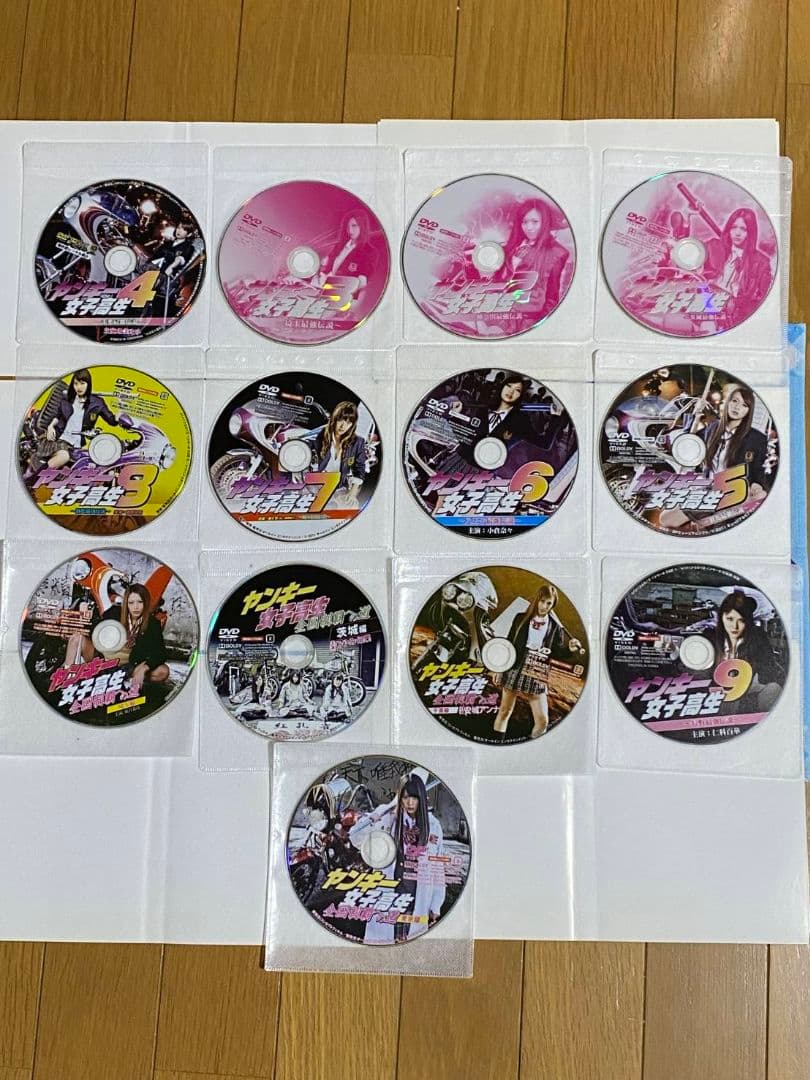 ヤンキー女子高生 全9巻セットとヤンキー女子高生全国制覇への道 全4巻 計13枚